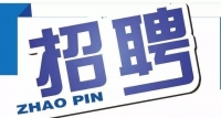 岱岳區(qū)政務(wù)服務(wù)中心招人啦！大專以上學(xué)歷，即日起報名